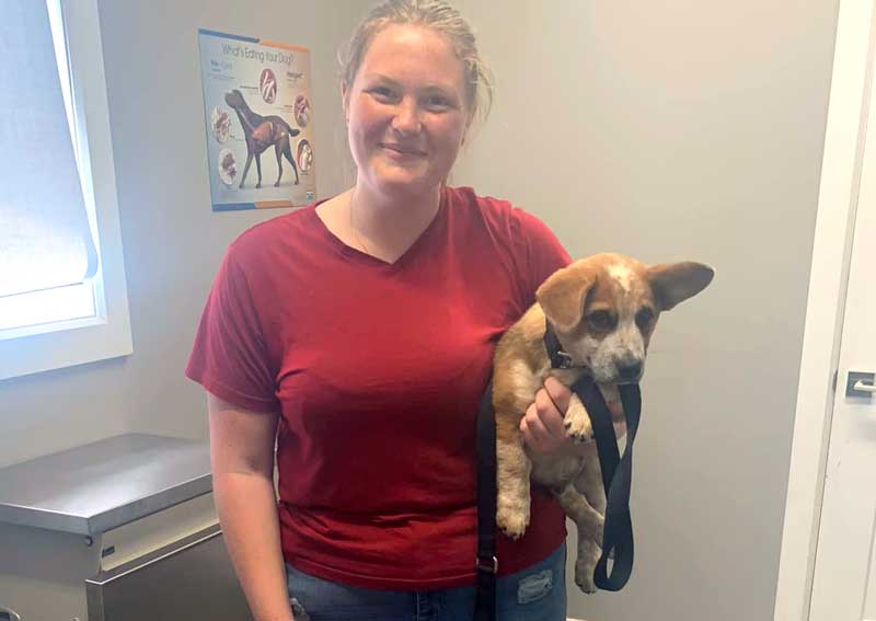 Carousel Slide 4: Learn more about us